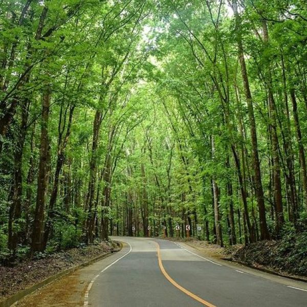 Bohol Countryside Tour